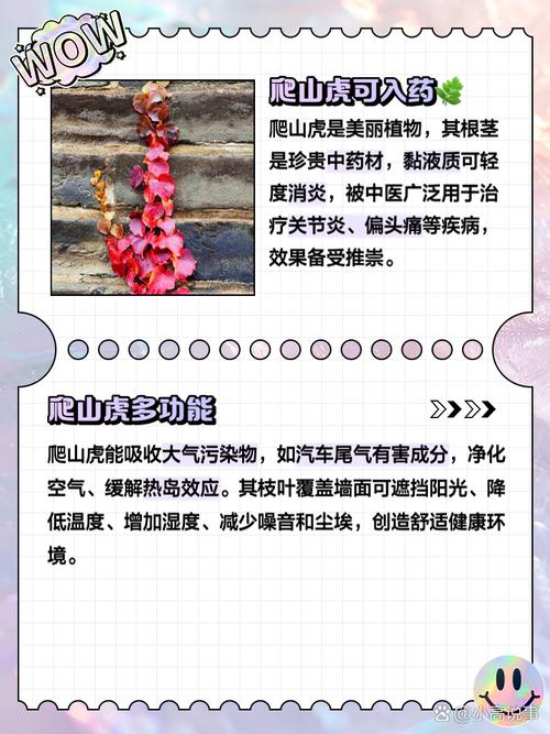 爬山虎名言，是自然哲思还是人类借物抒情的诗意投射？-图2