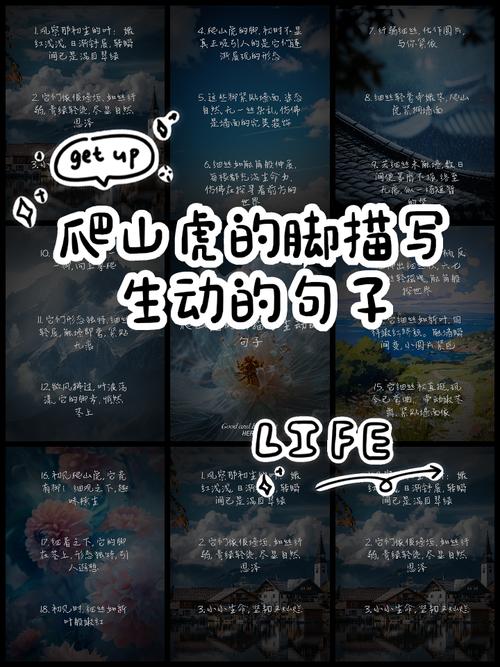 爬山虎名言，是自然哲思还是人类借物抒情的诗意投射？-图1