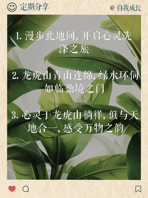 爬山虎名言，是自然哲思还是人类借物抒情的诗意投射？-图3