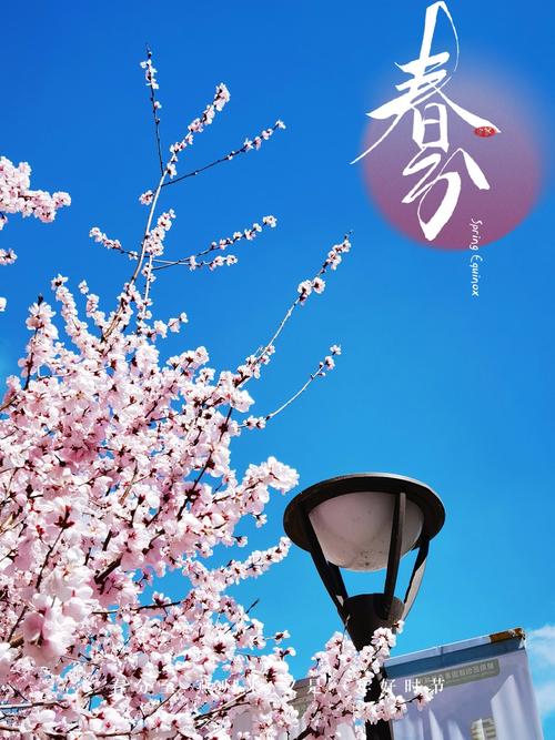 春光诗歌如何以文字为画笔,在春的画卷上描摹出时光的流动与生命的律动?-图2 春光诗歌如何以文字为画笔,在春的画卷上描摹出时光的流动与生命的律动?-图2