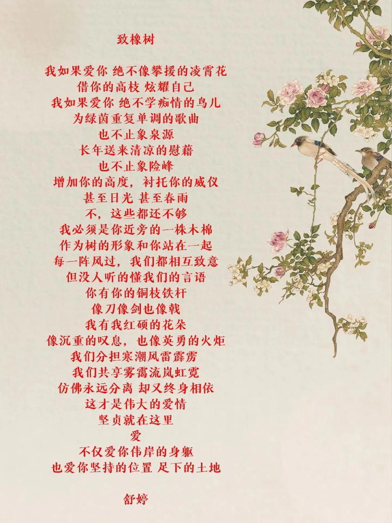 舒婷 诗歌,舒婷诗歌风格-图1 舒婷 诗歌,舒婷诗歌风格-图1