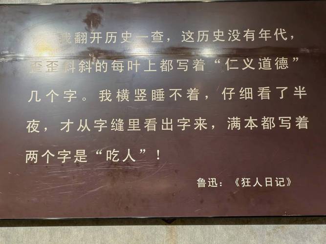 鲁迅写下那些振聋发聩的名言时,背后究竟藏着怎样的人生境遇与时代悲鸣?-图2 鲁迅写下那些振聋发聩的名言时,背后究竟藏着怎样的人生境遇与时代悲鸣?-图2