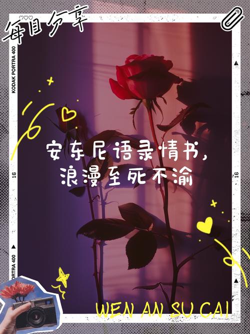 安东尼名言,安东尼名言名句经典-图1 安东尼名言,安东尼名言名句经典-图1