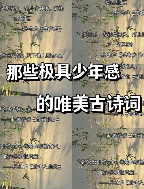 恰同学少年诗歌，恰同学少年朗诵词-图3