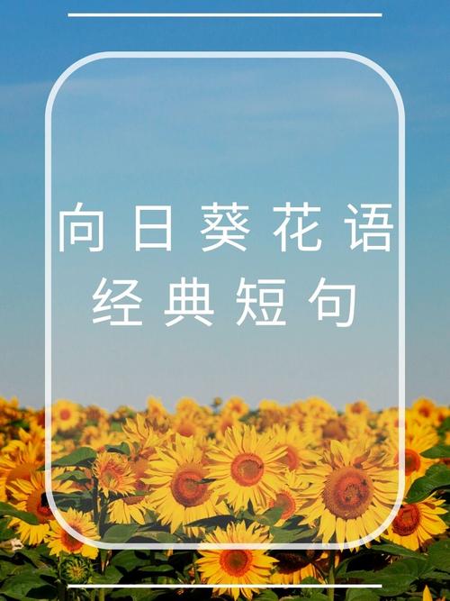种花的名言,关于种花的名言-图3 种花的名言,关于种花的名言-图3