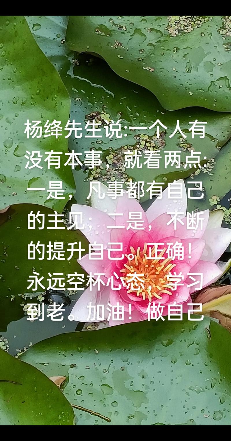 为什么做人要有主见?缺乏主见的人生会陷入哪些困境?如何培养独立思考的能力?-图1 为什么做人要有主见?缺乏主见的人生会陷入哪些困境?如何培养独立思考的能力?-图1