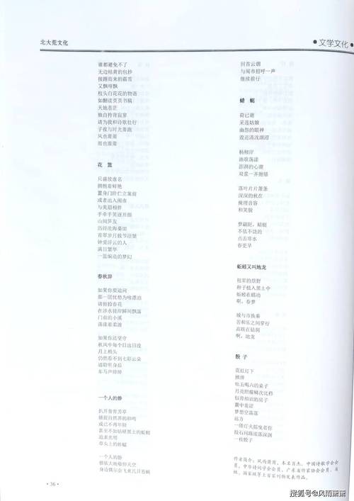 沉默的诗歌，沉默的诗歌仿写-图3