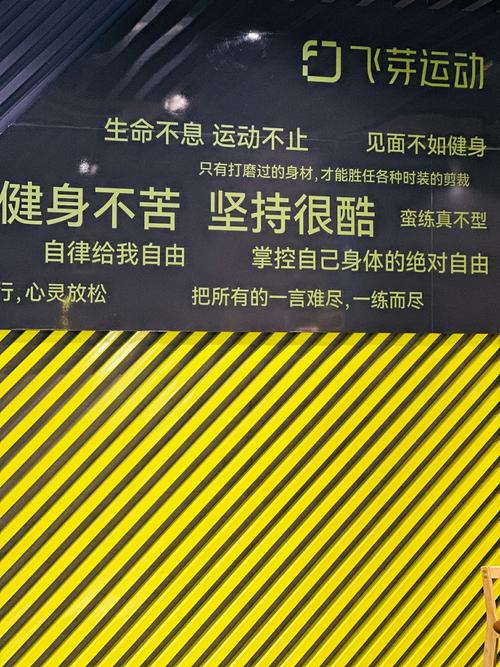 健身名言真的能点燃运动激情，还是只是短暂的口号式安慰？-图1