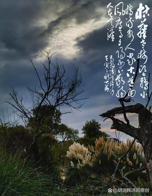 枯诗歌，是生命凋零的挽歌，还是灵魂重生的隐喻？-图2