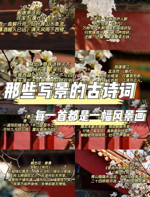 诗歌写景的方法，诗歌写景的方法有哪些-图2