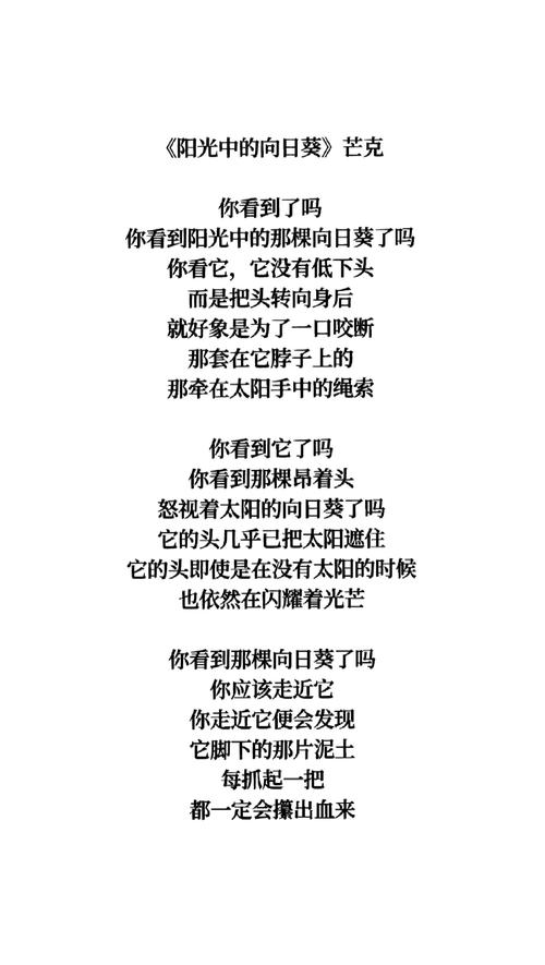 诗歌向日葵，诗歌向日葵原文-图3