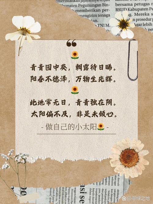 诗歌向日葵，诗歌向日葵原文-图2