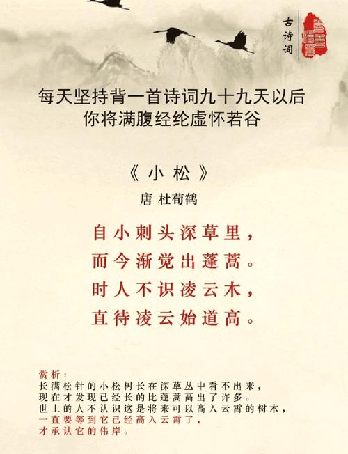 小松 诗歌,小松诗歌鉴赏-图1 小松 诗歌,小松诗歌鉴赏-图1