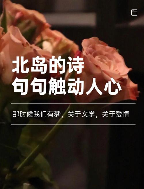 当代诗歌中北岛的冷峻与隐喻，如何重构了时代的语言密码？-图2