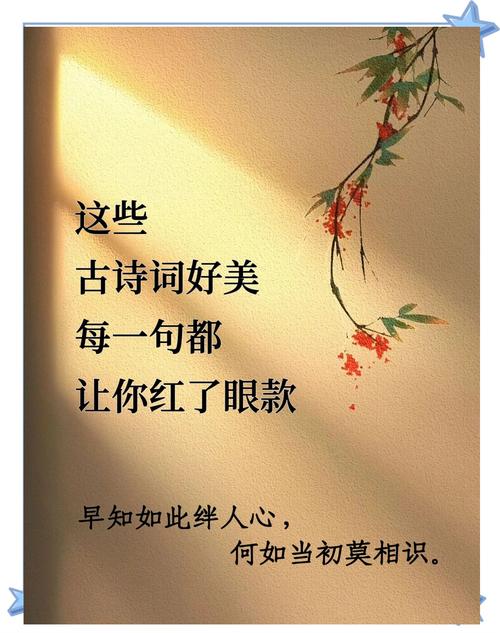 诗歌之情,诗歌之情,人寿几何-图3 诗歌之情,诗歌之情,人寿几何-图3