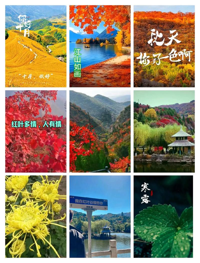 十月诗歌中藏着怎样的秋日私语与时光密码？-图1