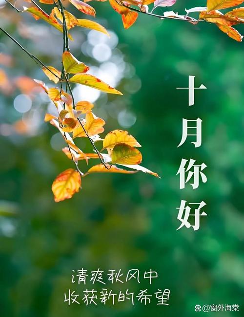 十月诗歌中藏着怎样的秋日私语与时光密码？-图2