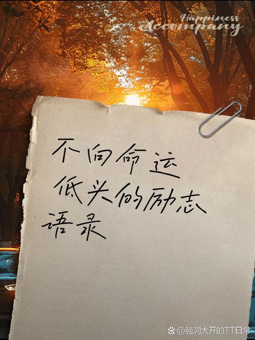 把握命运的名言警句,把握命运的名言警句有哪些-图2 把握命运的名言警句,把握命运的名言警句有哪些-图2