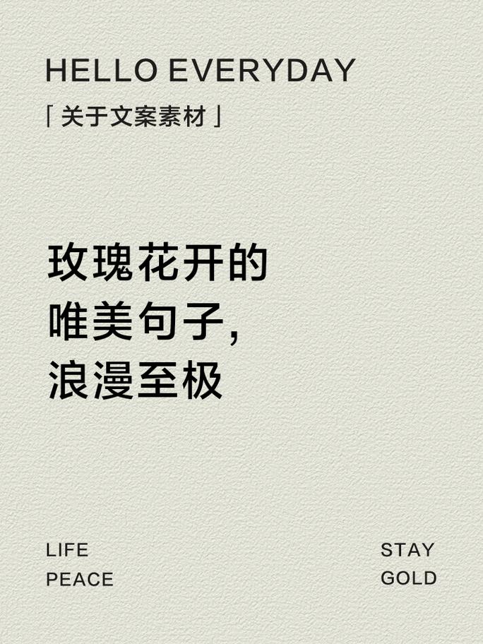 关于玫瑰的名言,关于玫瑰的名言名句-图2 关于玫瑰的名言,关于玫瑰的名言名句-图2