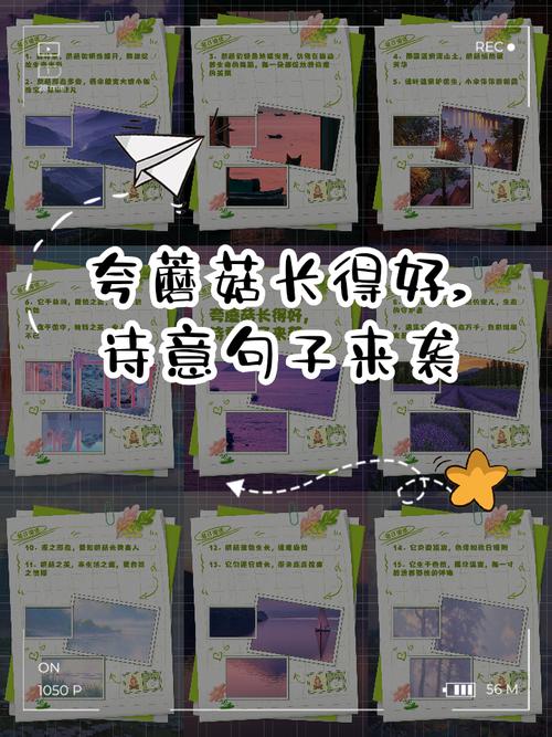 哪些名言警句，小蘑菇的举动让你想到哪些名言警句-图1