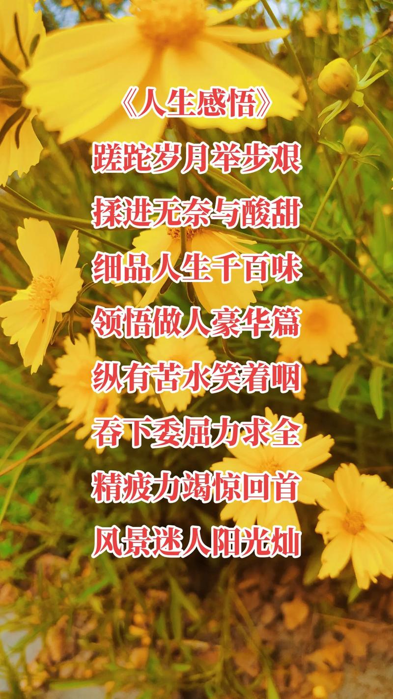 人生的赞美诗歌,藏着怎样的生命回响?-图1 人生的赞美诗歌,藏着怎样的生命回响?-图1