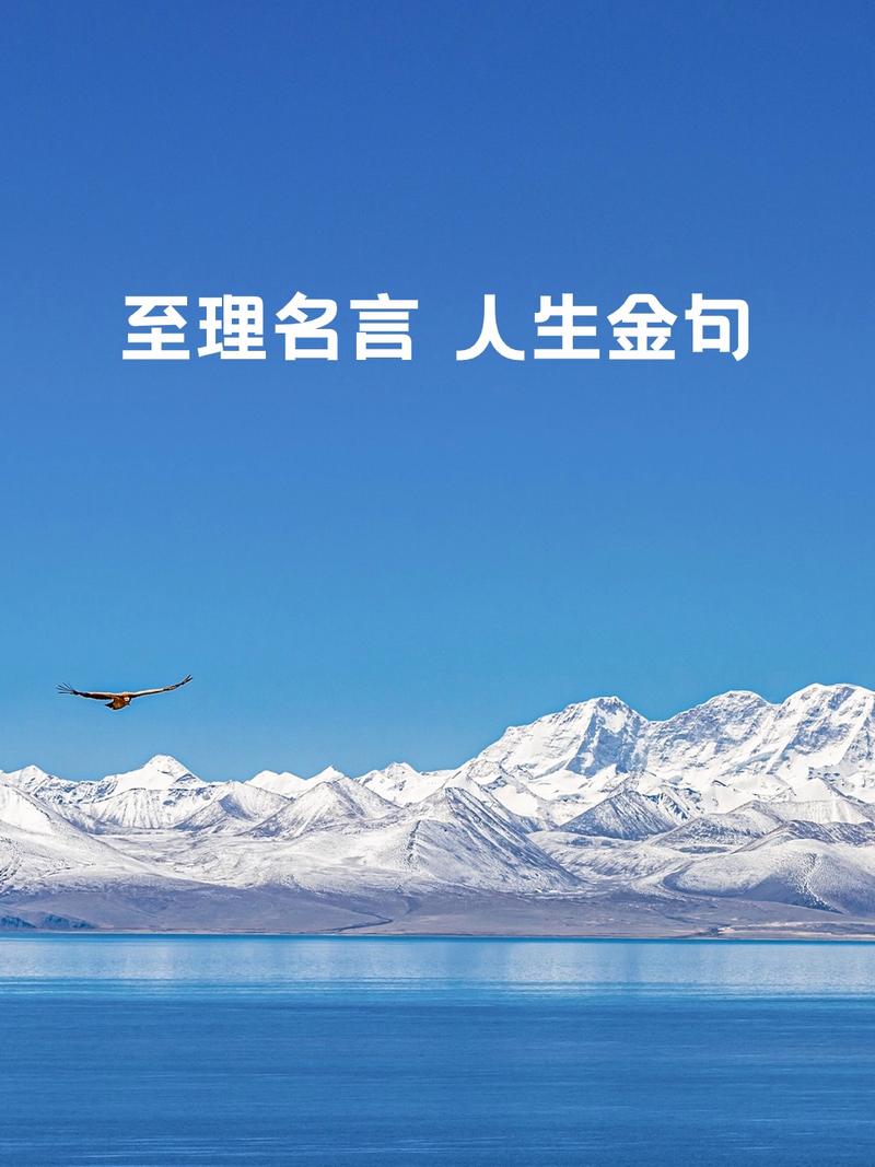 人生名言如何指引我们前行？-图1