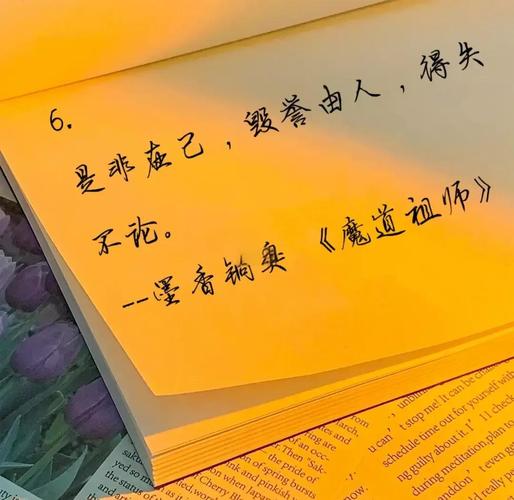 魔道祖师名言藏着什么深意？-图2