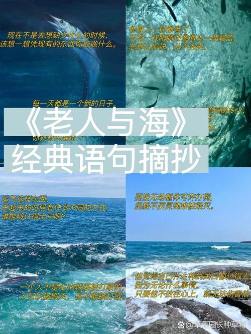 海明威名言老人与海，海明威的名言老人与海-图1