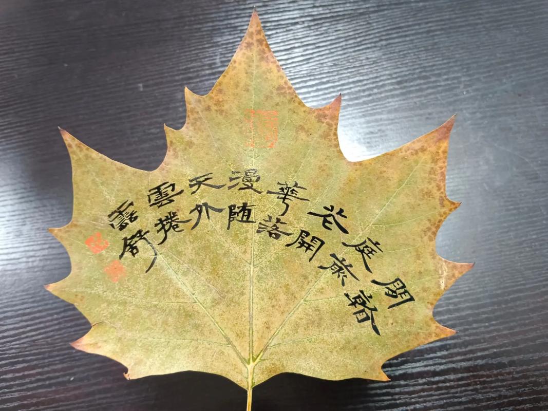 关于叶的名言名句,有关叶的名言-图3 关于叶的名言名句,有关叶的名言-图3