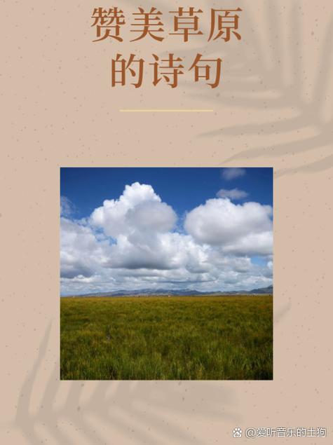 诗歌赞草原，草原的赞美诗-图3