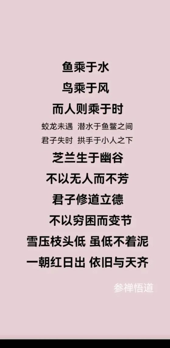 蝼蚁名人名言,蝼蚁名人名言大全-图3 蝼蚁名人名言,蝼蚁名人名言大全-图3