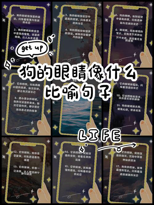 眼神名言,眼神名言名句-图3 眼神名言,眼神名言名句-图3