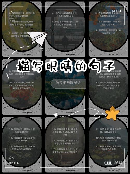 眼神名言,眼神名言名句-图2 眼神名言,眼神名言名句-图2