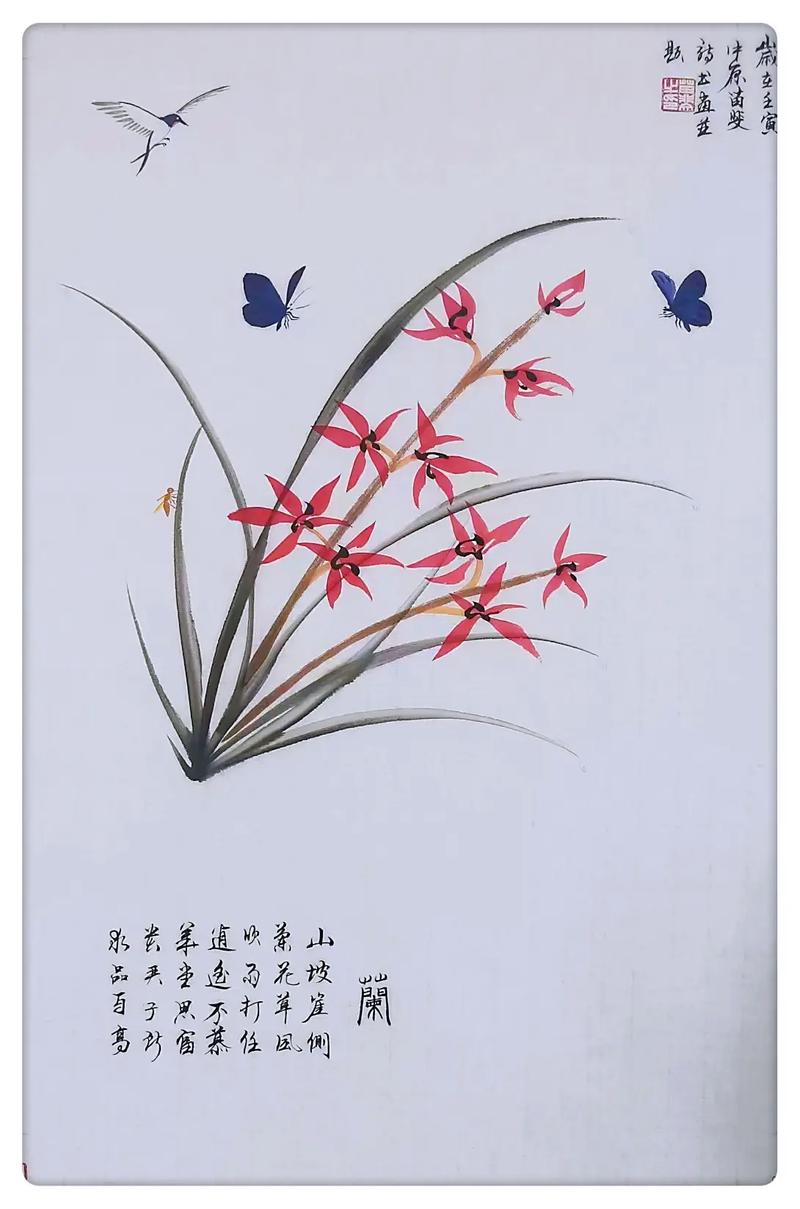 兰花自作诗歌,兰花自作诗歌怎么写-图2 兰花自作诗歌,兰花自作诗歌怎么写-图2