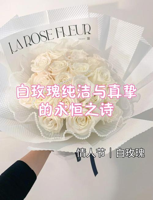 白玫瑰 诗歌，白玫瑰诗歌英文-图1
