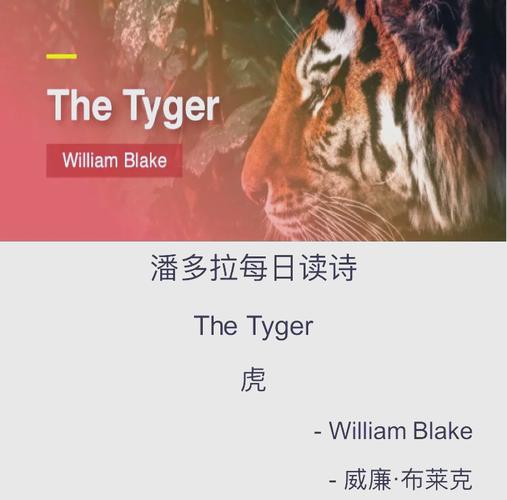 老虎诗歌暗藏何种深意？-图2
