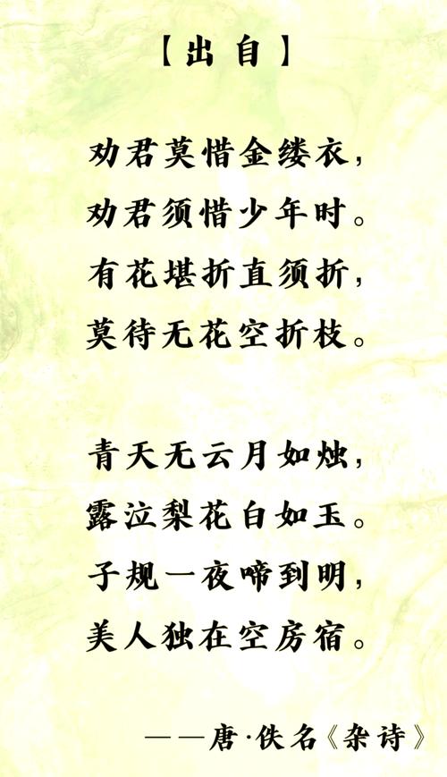 古代诗歌语言如何鉴赏？-图2