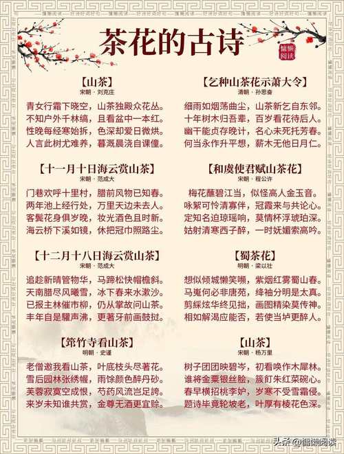 茶花诗中藏了什么春意?-图1 茶花诗中藏了什么春意?-图1