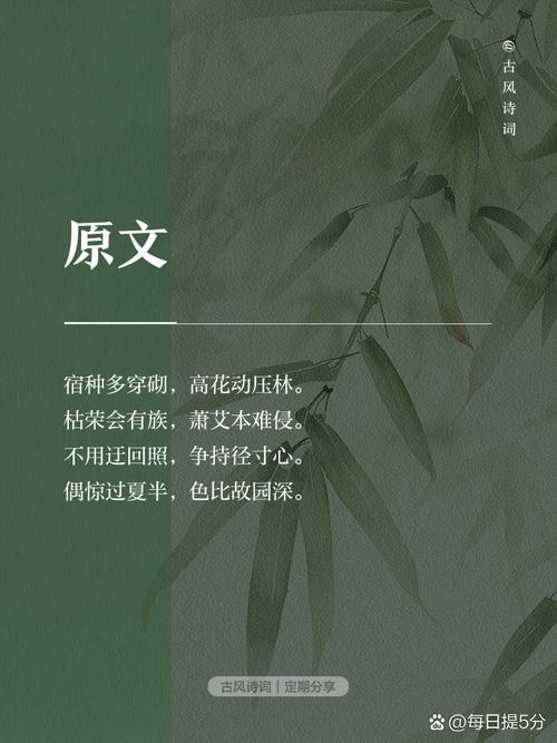 向日葵的诗歌藏着怎样的心事?-图3 向日葵的诗歌藏着怎样的心事?-图3