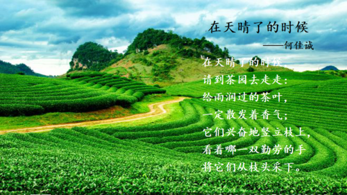 诗歌 绿色的世界,诗歌绿色的世界-图3 诗歌 绿色的世界,诗歌绿色的世界-图3