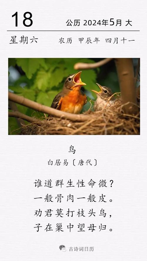 诗歌中的鸟，是飞动的诗眼还是灵魂的回响？-图1