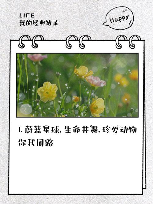 尊重动物生命的名言,尊重动物生命的名言警句-图2 尊重动物生命的名言,尊重动物生命的名言警句-图2