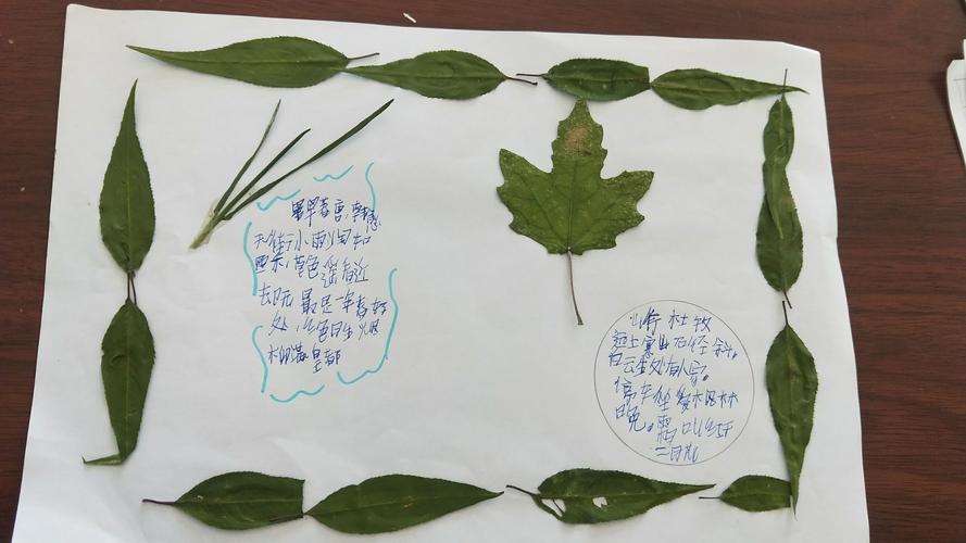 诗歌秋叶,诗歌秋叶幼儿园-图3 诗歌秋叶,诗歌秋叶幼儿园-图3