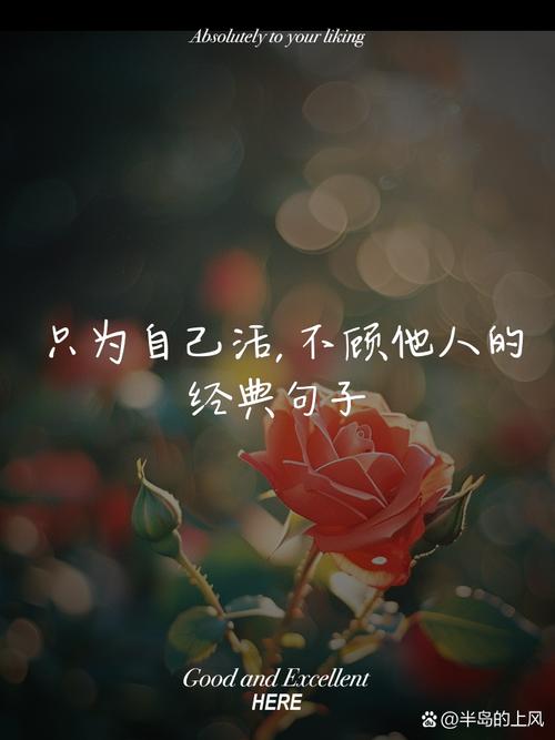 如何活出自己的样子?-图1 如何活出自己的样子?-图1