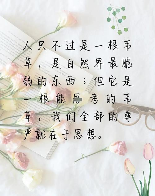 卡帕名言,卡帕名言 不是因为你拍的-图2 卡帕名言,卡帕名言 不是因为你拍的-图2