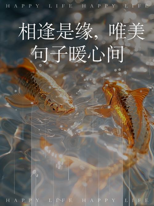 缘分的名言，关于缘分的名言-图2