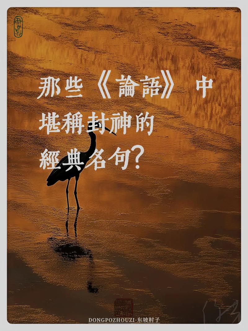 未知的名言,藏着怎样的智慧?-图2 未知的名言,藏着怎样的智慧?-图2