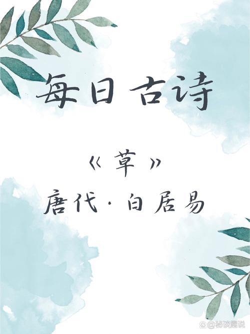 诗歌野草是何种野性诗意的生长?-图2 诗歌野草是何种野性诗意的生长?-图2