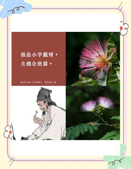 合欢花诗歌,合欢花诗歌大全-图2 合欢花诗歌,合欢花诗歌大全-图2