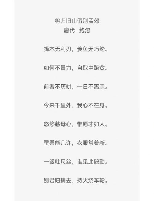 妈妈的 诗歌,描写妈妈的诗歌-图3 妈妈的 诗歌,描写妈妈的诗歌-图3